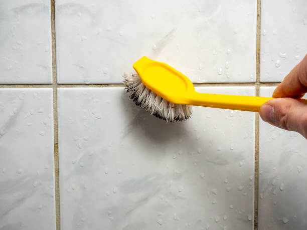 Best Residential Mold Removal  in Atlantic Beach, NY