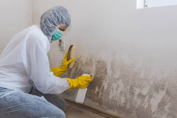 Best Crawl Space Mold Removal  in Atlantic Beach, NY