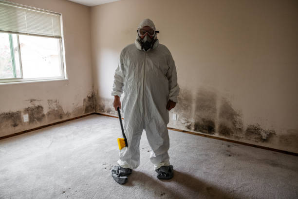 Best Mold Damage Repair  in Atlantic Beach, NY