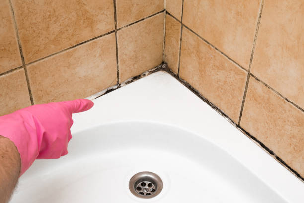 Best Emergency Mold Removal  in Atlantic Beach, NY